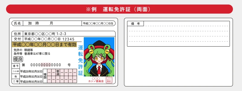 ミスティーノ（Mystino）｜本人確認書類例画面