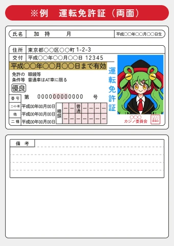 ミスティーノ（Mystino）｜本人確認書類例画面
